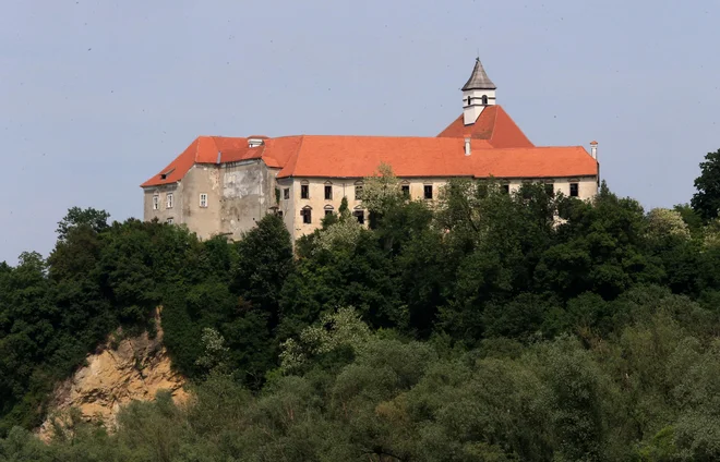 Nesreča ob demontaži žerjava se je zgodila&nbsp;na gradu Borl v občini Cirkulane. FOTO: Tadej Regent/Delo