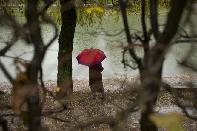 FOTO: Jure Eržen/Delo