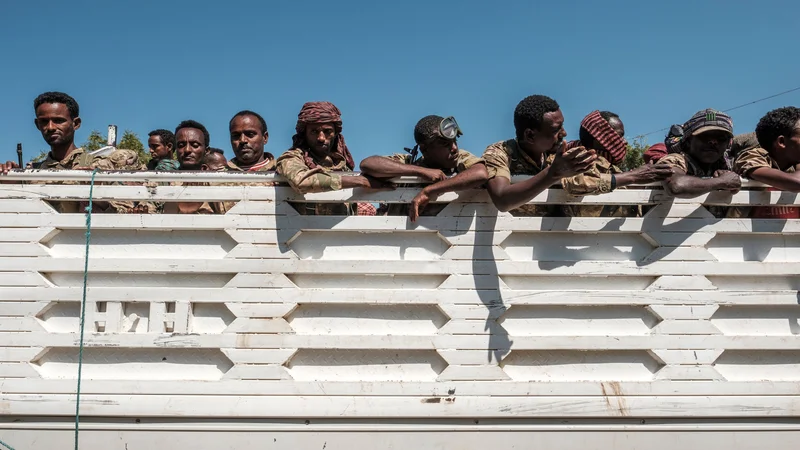 Fotografija: Spopadi med vojsko in Tigrajsko ljudsko osvobodilno fronto (TPLF) potekajo že več kot tri tedne. FOTO: Eduardo Soteras/AFP