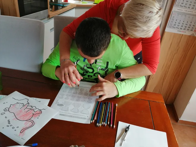 Maj gre zelo rad v šolo in zelo pogreša prijatelje. Ko smo ostali doma, se je zelo težko navadil na to, da ne gre vsak dan od doma, je povedala njegova mama Andreja Cestnik. FOTO: osebni arhiv