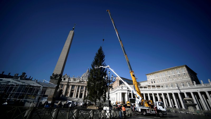 Fotografija: Drevo bodo slovesno osvetlili 11. decembra popoldne. FOTO: Filippo Monteforte/AFP