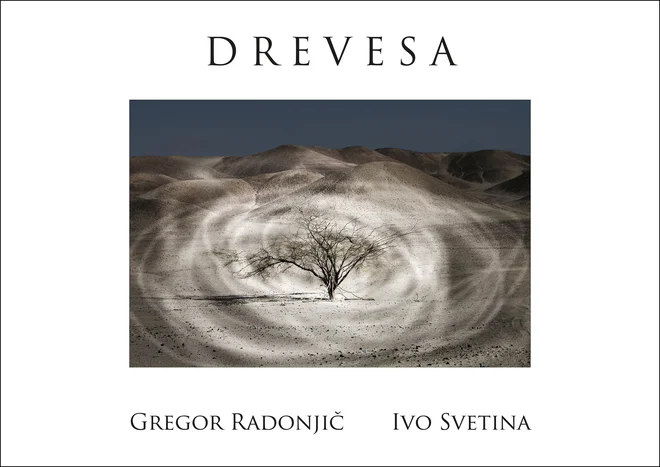 Drevo je bilo vse od sumerskega drevesa življenja ena od središčnih točk mitoloških in verskih kozmologij. Foto Gregor Radonjič