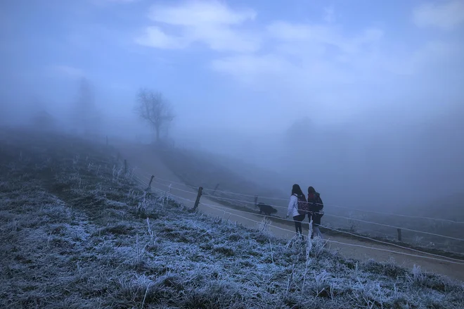 Prehranska podpora (ali napad na) za imunski sistem v zimskem času je še bolj kompleksna kot gibanje na mrzlem zraku. FOTO: Jure Eržen/Delo
