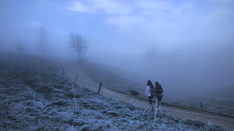 Fotografija: Le pogumno pojdite na zrak, z nižjo intenzivnostjo, vendar dolgotrajno aktivnostjo. Za znane pozitivne učinke in ne nazadnje za dodatno »termoregulacijsko« hujšanje. FOTO: Jure Eržen/Delo