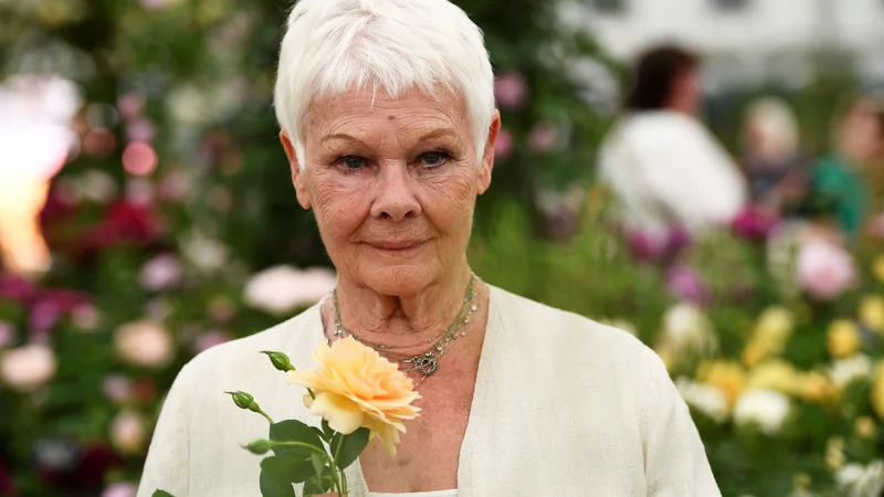 Judi Dench je ena največjih živečih filmskih ikon. FOTO: Dylan Martinez/Reuters