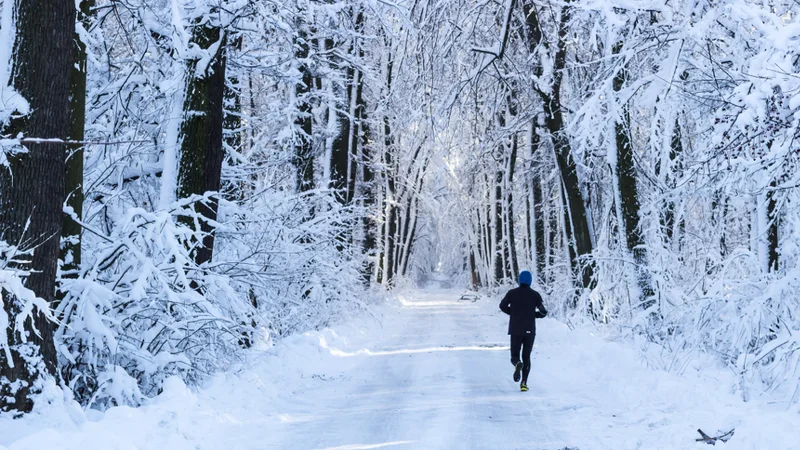 Fotografija: Zadeva je takšna, da je dva do tri tedna popolnega počitka od teka dovolj, potem pa se že zopet lahko prične z lahkimi aktivnostmi. FOTO: Shutterstock