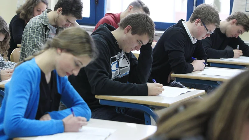 Fotografija: Matura prihodnje leto bo velika preizkušnja, saj se dijaki že pol leta izobražujejo na daljavo. FOTO: Leon Vidic/Delo