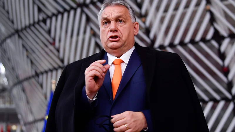 Madžarski premier Viktor Orbán je na vrhu EU prepričan v zmago zdravega razuma. FOTO: John Thys/AFP