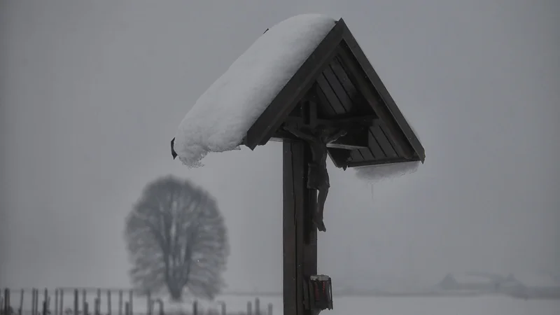 Fotografija: Foto Blaž Samec