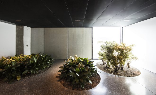 Arhitekti so si želeli, da bi tudi v prostore zaposlenih v skladišču prinesli nekaj zelenja in dnevne svetlobe. Na takšen notranji vrt se odpira pogled iz pisarne skladiščnika. FOTO: Blaž Budja