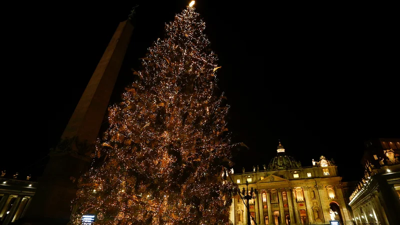 Fotografija: Slovenska smreka na Trgu sv. Petra. FOTO: Guglielmo Mangiapane/Reuters