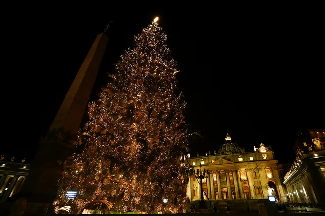 Slovenska smreka na Trgu sv. Petra. FOTO: Guglielmo Mangiapane/Reuters
