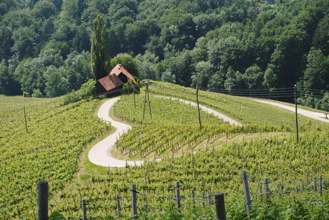 Ali še kje učijo, da je treba imeti rad domovino? FOTO: Mateja Kotnik/Delo