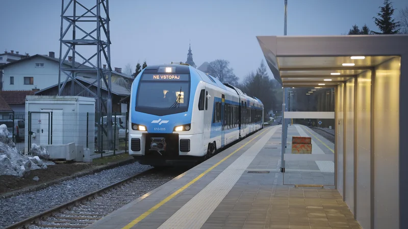 Fotografija: Na slovenskih tirih je za zdaj pet garnitur od 52 pri Stadlerju že naročenih. FOTO: Jože Suhadolnik/Delo