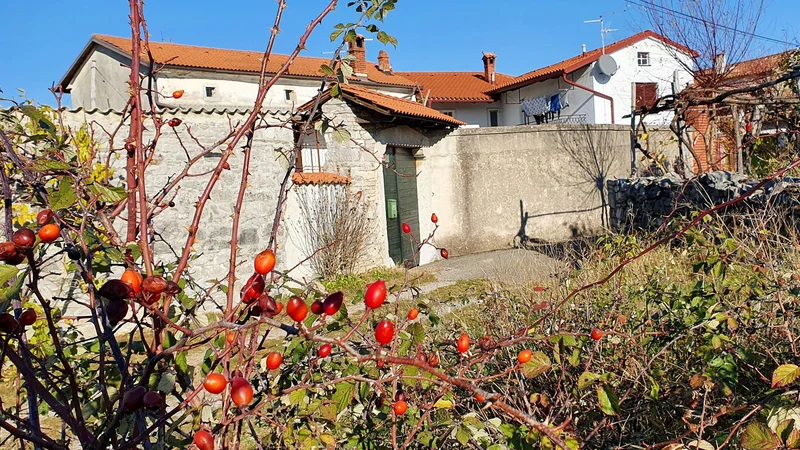 Fotografija: V Sturmanovih zgodbah ostaja tudi precej zamolčanega, neizrečenega; sklepamo, da je tišina potemtakem bolj povedna, kot bi bila nadrobna razlaga ali opis.FOTO: Marko Feist