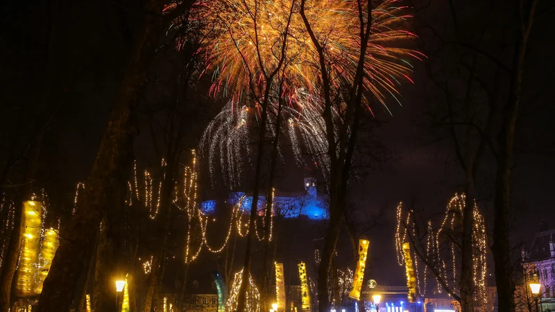 Fotografija: Virusi na žalost ne spoštujejo koledarja. FOTO: Matej Družnik