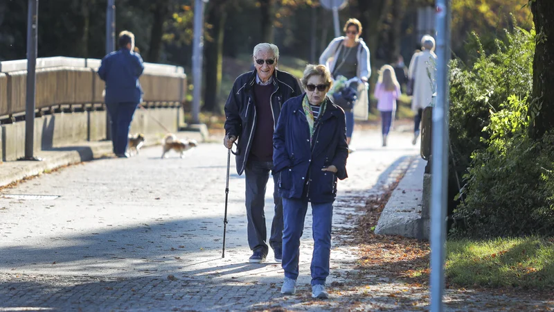 Fotografija: Zakon (ZPIZ-2) ljudi spodbuja, naj delajo dlje, a protikoronski paket PKP7 nasprotno napoveduje, da bodo po novih »protikriznih« predlogih delavce lahko na hitro upokojili. FOTO: Jože Suhadolnik/Delo