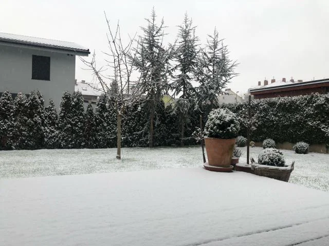 Sneg je že zjutraj pobelil Ljubljano. FOTO: T. J.