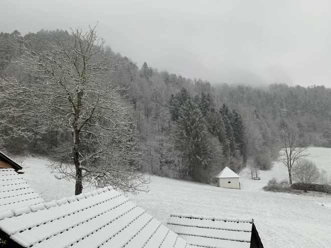 Sneg je že dopoldan pobelil osrednji del Slovenije. Fotografija je nastala v Polhovem Gradcu. FOTO: G. Z.