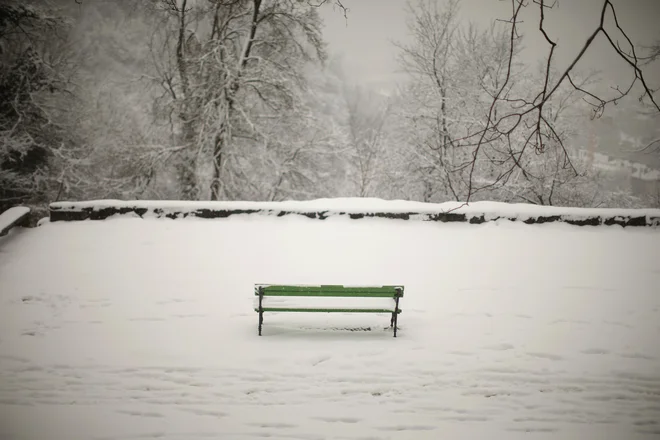 Dobra polovica Evropejcev živi v hišah, večina hiš pa ima kos vrta. FOTO:&nbsp;Jure Eržen/Delo