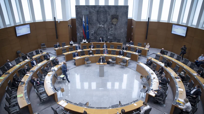 Fotografija: Državni zbor. FOTO: Jože Suhadolnik/Delo
