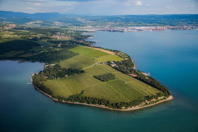 Občinski prostorski načrt, ki so ga usklajevali na več delavnicah, predvideva tudi povečanje kmetijskih in gozdnih površin. Foto Jaka Ivančič