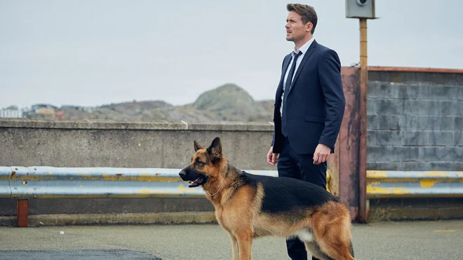 Hudson in Rex: Lov Foto Pro Plus
