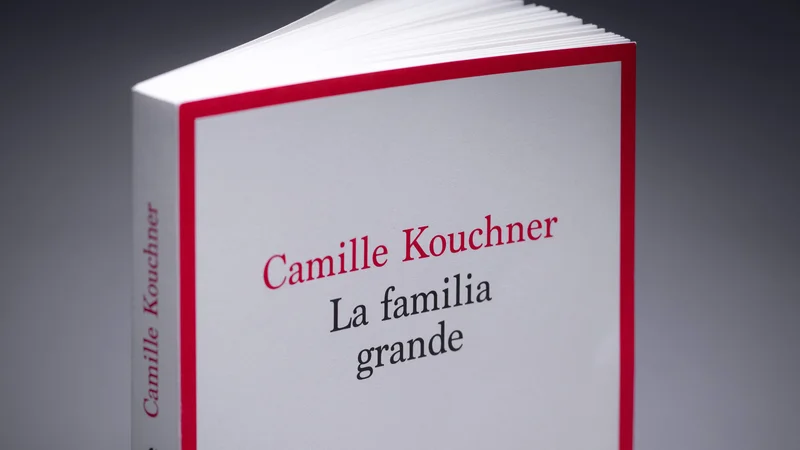 Knjiga <em>La familia grande</em> je od danes na policah francoskih knjigarn. Foto Joel Saget/AFP