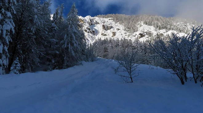 Plaz s Kumleha, ki ga je na območju Vršiča na začetku tega leta opazil Klemen Volontar. FOTO: Klemen Volontar
