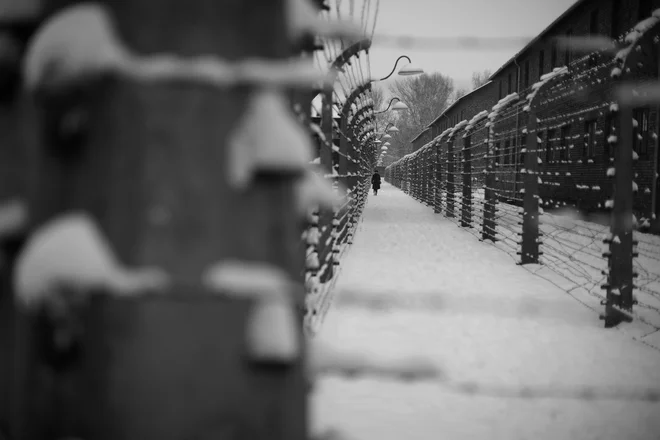V spominskem muzeju Auschwitz-Birkenau so na spletu zelo dejavni. Ponujajo virtualni ogled nekdanjega taborišča. FOTO: Voranc Vogel/Delo