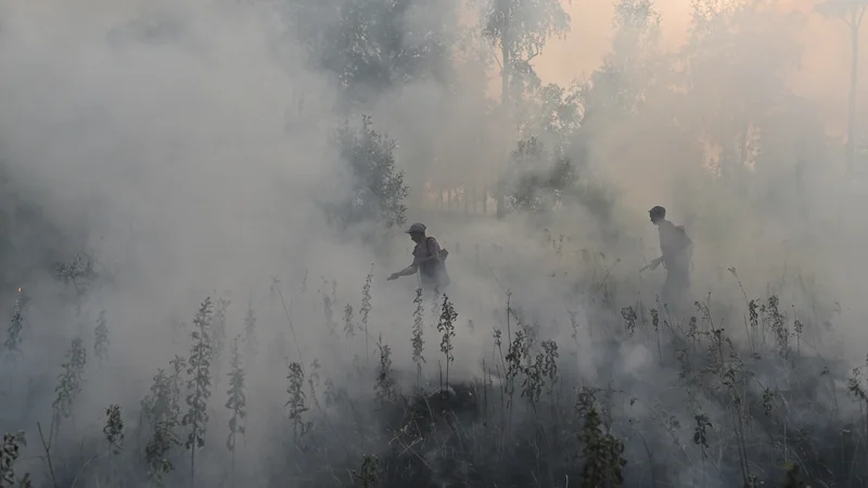 Fotografija: Dvesto let je trajalo, da se je količina ogljikovega dioksida v ozračju dvignila za 25 odstotkov. V zadnjih tridesetih letih pa smo se približali 50 odstotkom. FOTO: Alexey Malgavko/Reuters