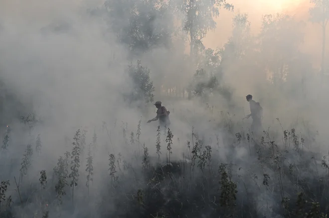Dvesto let je trajalo, da se je količina ogljikovega dioksida v ozračju dvignila za 25 odstotkov. V zadnjih tridesetih letih pa smo se približali 50 odstotkom. FOTO: Alexey Malgavko/Reuters