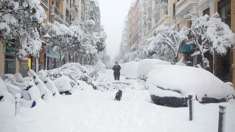 Fotografija: Nevihta Filomena je paralizirala Madrid. FOTO: Benjamin Cremel/Afp