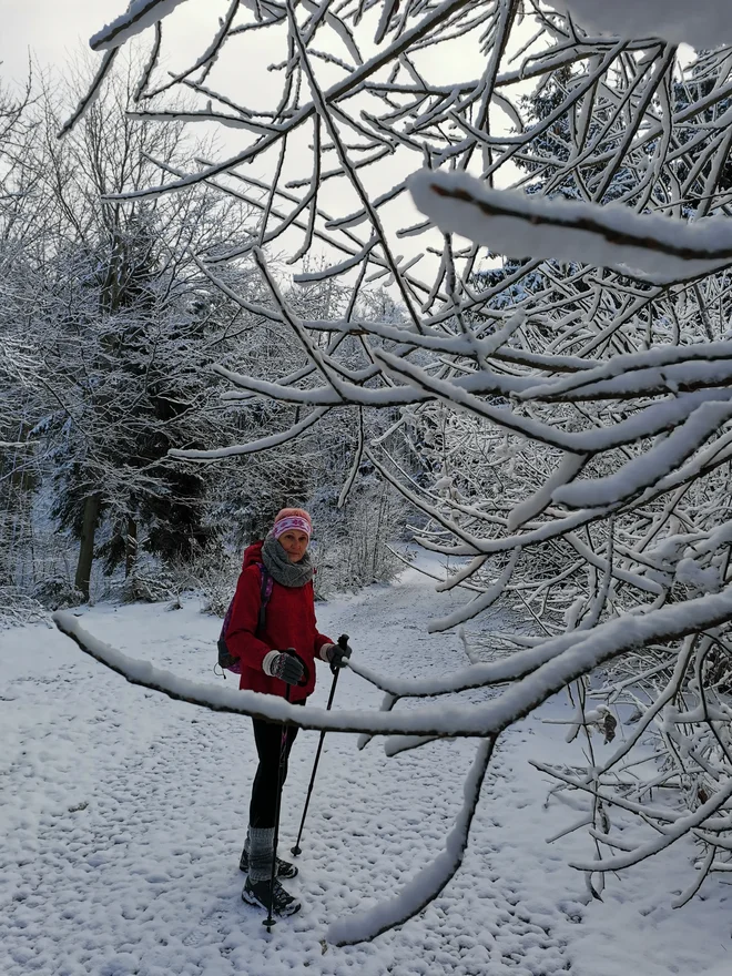 Pozimi narava počiva, na pragu pomladi in poletja pa se tod v vsej svoji lepoti pokaže botanična pestrost. FOTO: Anja Intihar