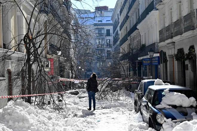 Po nekaterih ocenah je zaradi snega v Madridu poškodovanih okoli 150.000 dreves. FOTO: Gabriel Bouys/Afp