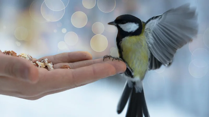 Fotografija: Presnovno gledano se poveča potreba po energiji iz ogljikovih hidratov, še zlasti če se športnik zaradi mraza trese. FOTO: Shutterstock