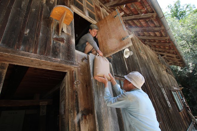 Čeprav je že davno mlinarsko obrt prevzela hči Karmen, je Mirč še vedno vsak dan prihajal delat k mlinu. FOTO: Jože Pojbič/Delo