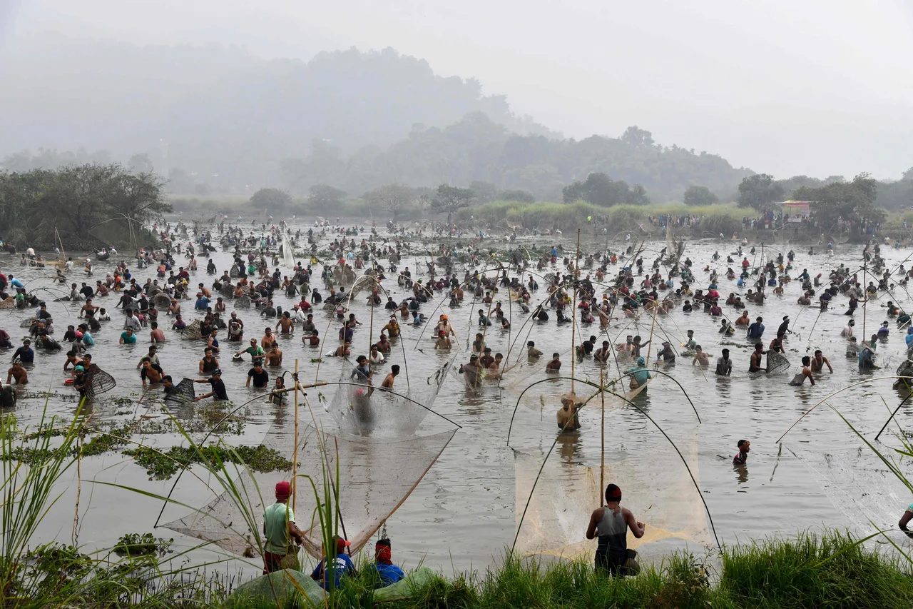 Fotografija: Na jezeru Goroimari v indijskem Panbariju vasčani sodelujejo v množicnem ribolovskem dogodku med praznovanjem praznika žetve Bhogali Bihu. FOTO: Biju Boro / Afp