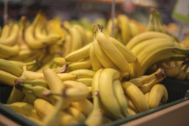 Z bananami v Evropo pogosto pripotujejo nenadejani gostje. Foto Lindrik Getty Images/istockphoto