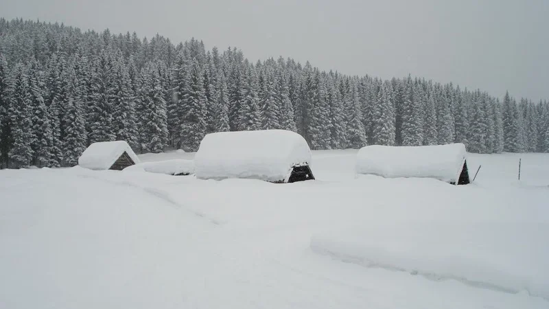 Fotografija: Planina Javornik je najlepša poleti, še lepša pa pozimi. FOTO: Miroslav Cvjetičanin