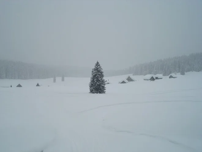 Planina Javornik v zimski tihoti. FOTO: Miroslav Cvjetičanin