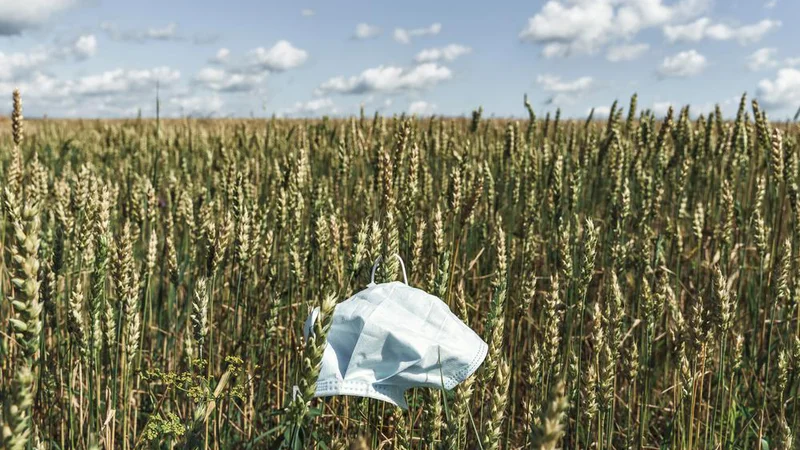 Fotografija: Na ministrstvu so prepričani, da je kljub težkim razmeram zaradi epidemije covida-19 dialog med vsemi deležniki vzpostavljen ter da teče na številnih ravneh in transparentno. FOTO: Shutterstock