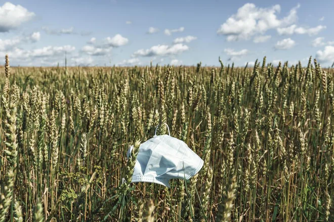 Na ministrstvu so prepričani, da je kljub težkim razmeram zaradi epidemije covida-19 dialog med vsemi deležniki vzpostavljen ter da teče na številnih ravneh in transparentno. FOTO: Shutterstock