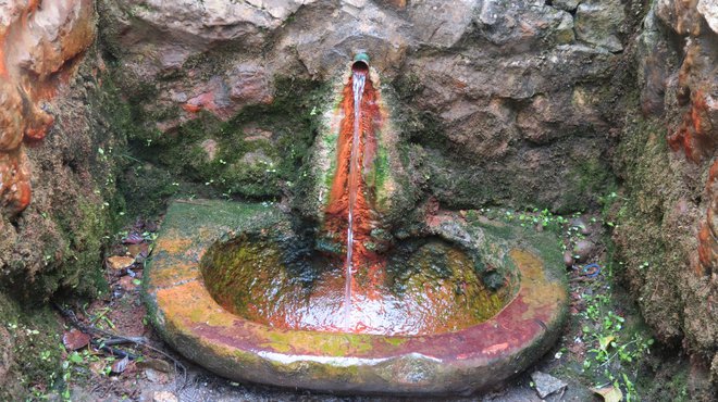 Mineralna voda, bogata z železom, ki izvira na območju kompleksa, je ena najbolj kakovostnih v Evropi. Foto Mateja Kotnik