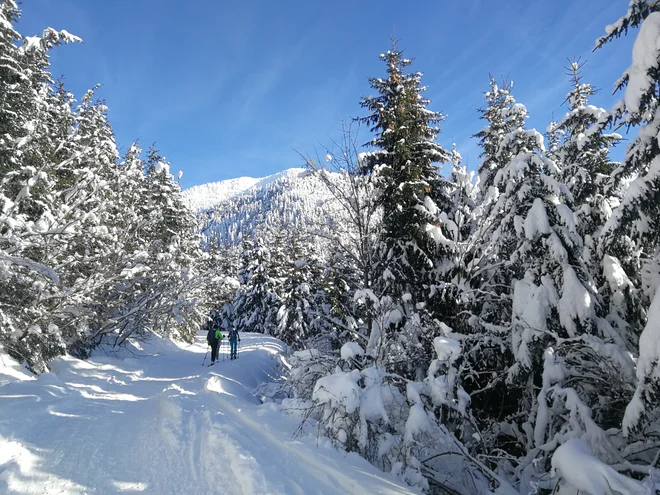 Na turno smuko se praviloma ne odpravimo sami. Pomembno pa je, da člani skupine ohranjajo razdaljo med sabo, da je snežna odeja manj obremenjena. Foto Maja Grgič/Delo