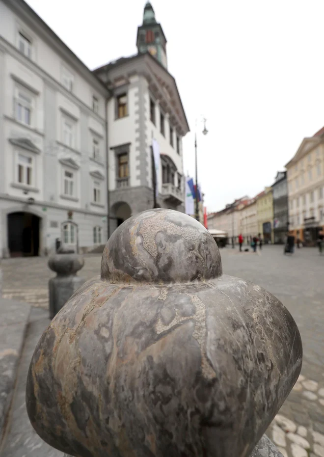 Seja mestnega sveta je potekala delno na daljavo. FOTO: Dejan Javornik/Slovenske novice