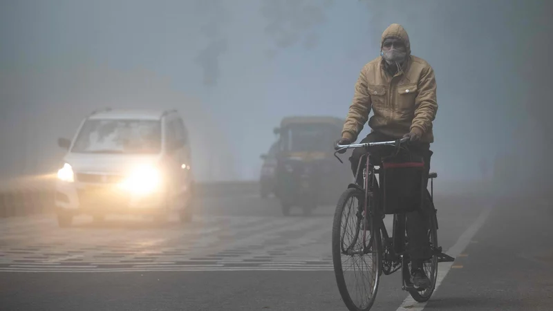 Fotografija: Skrb za okolje, ki je bila leta 2019 vodilna, se je pomaknila na četrto mesto, to je za zdravje, brezposelnost in finančno krizo. FOTO: Jewel Samad/AFP
