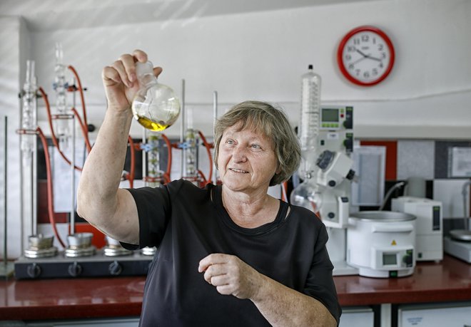 Milena Bučar Miklavčič, vodja akreditiranega laboratorija za oljčno olje, meni, da naša država oljkarstvu ne priznava vrednosti, kakršno ima drugod v Sredozemlju. Foto Blaž Samec