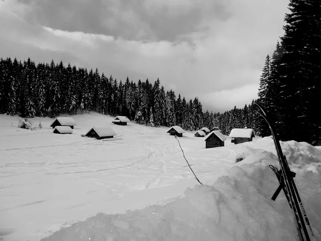 Na Selški planini stoji več koč, ki so v glavnem preurejene v vikende. FOTO: Miroslav Cvjetičanin