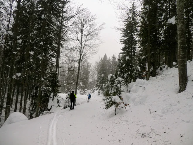 Smučarsko pohodništvo po Jelovici. FOTO: Miroslav Cvjetičanin